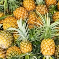Ananas